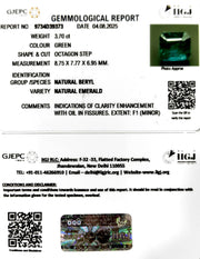 3.70/CT Natural Panna Stone with Govt. Lab Certificate (56610)